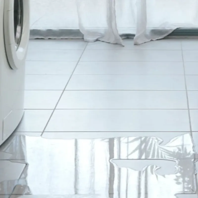 Appliance Leak Cleanup in Jackson, GA
